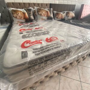 Castor